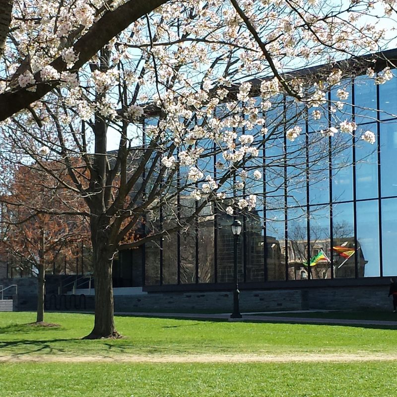 Libraries · Lafayette College