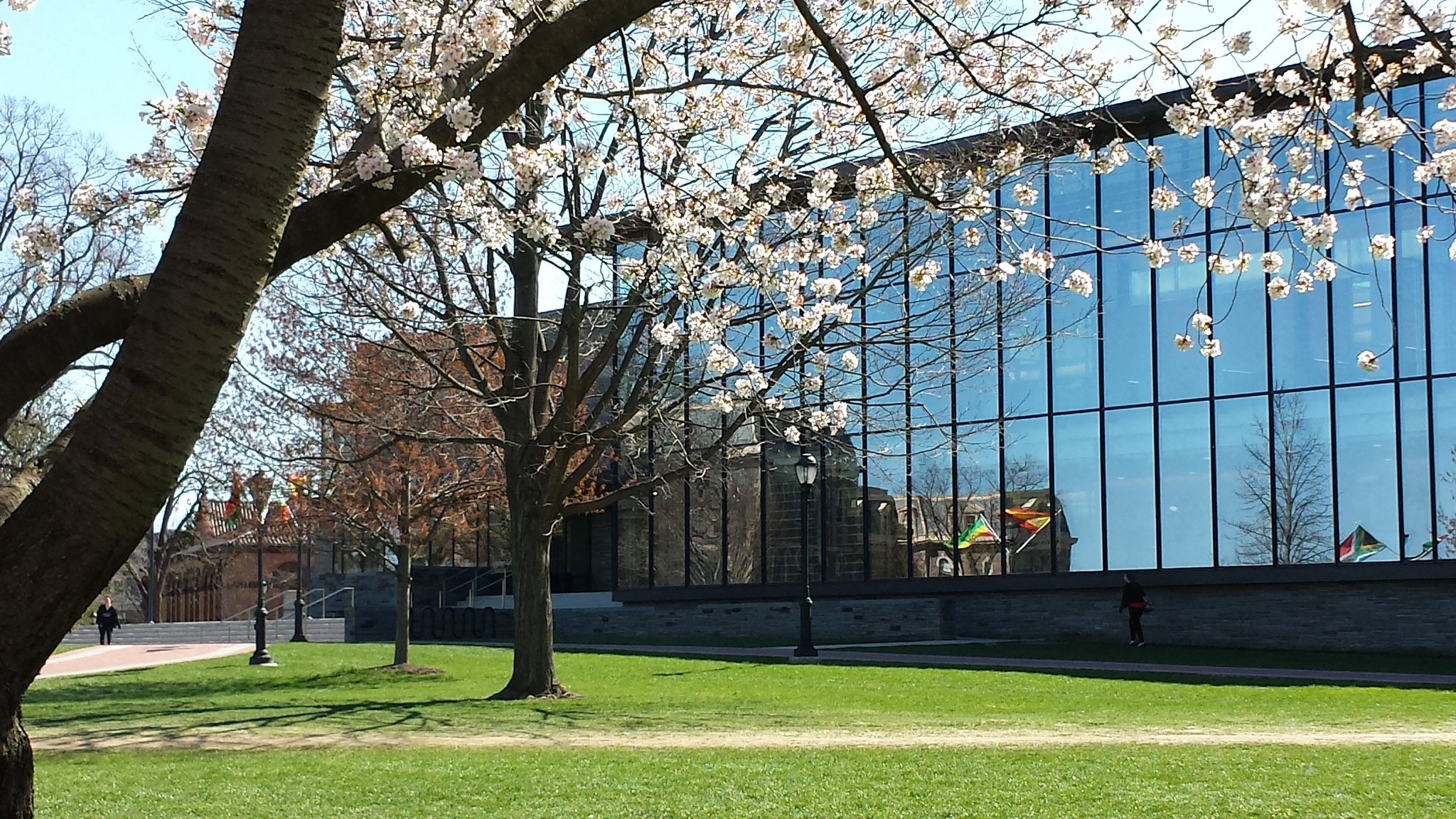 Lafayette College Library