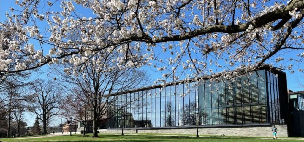 Lafayette College Library newsletter: Spring edition · Libraries ...